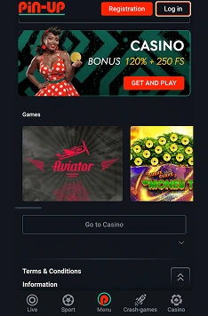 Pinup App